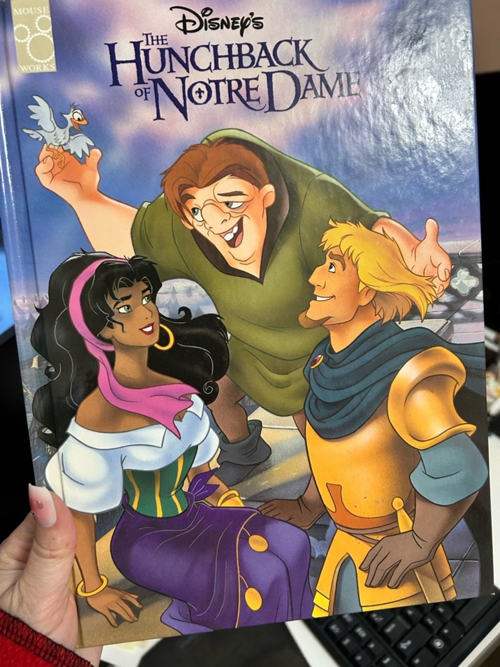 🔥$4 Disney Colorful Hunchback of Notre Dame Character Cover - hardcover book